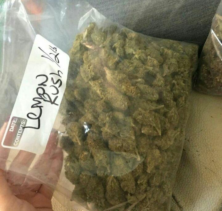 LegentPlug's tweet image. De la bonne weed livraison discrète dans toute la France 
Snapp// plugstore18
Minimum 50€
#Nantes #marseille #lyon #cannabis #VivreEnsemble #toulouse #Bordeaux #FiersDeLaGrève #FiersdetreBleus #lille #hautsdefrance #plantes #Plaisir #VivreEnsemble #ViolencesPolicieres