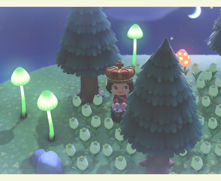 CandB_ACNH's tweet photo. 🍄GIVEAWAY TIME!!🍄

To kickstart this account we're doing a giant giveaway! One person will win 400 NMTs as well as 5 MUSHROOM LAMPS!!

-To enter-
🍁Follow us
🍁RT this tweet

Good luck! Ends on Wednesday the 6th of May

#AnimalCrossing #ACNH #ACNHtrade https://t.co/j3E7uGF2Ov
