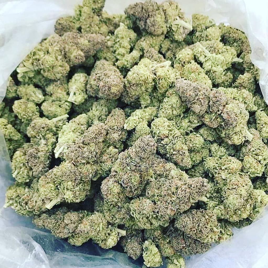 LegentPlug's tweet image. Contact 
Snap:plugstore18
Minimum 50€

 #iledefrancemobilité #iledefrancecuritiba #iledefrancemobilite #iledefrance_focus #iledefranceart #iledefrancecoiffure #îledefrance  #iledefrancetourism #iledefrancem #bretagne #Belgique #belgiumgang #belgumdiaries #italy