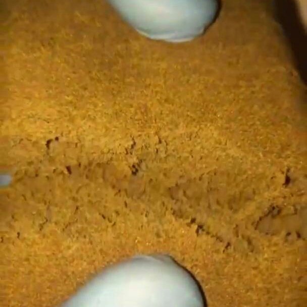 LegentPlug's tweet image. Contact 
Snap:plugstore18
Minimum 50€

 #iledefrancemobilité #iledefrancecuritiba #iledefrancemobilite #iledefrance_focus #iledefranceart #iledefrancecoiffure #îledefrance  #iledefrancetourism #iledefrancem #bretagne #Belgique #belgiumgang #belgumdiaries #italy