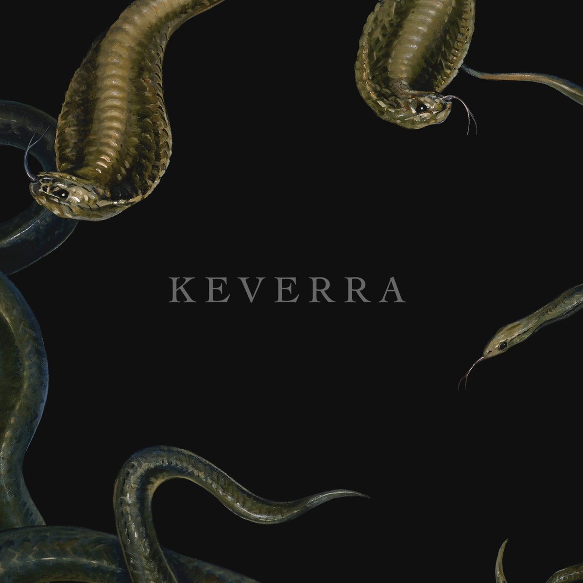dbmagazine's tweet photo. Get crushed by the debut full length of calculated and atmospheric sludge from Los Angeles trio @keverraband. https://t.co/Ou3Nu2fNHa #keverra #sludge https://t.co/aELLpTP4pS
