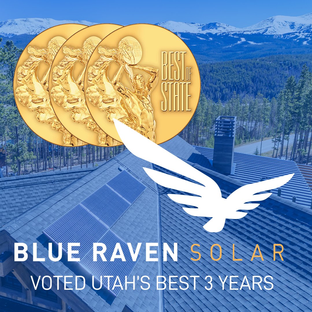Blue Raven Solar Appointment Setter Salary Company Salaries 2023