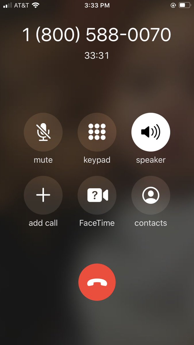 SweetCapri tweet media