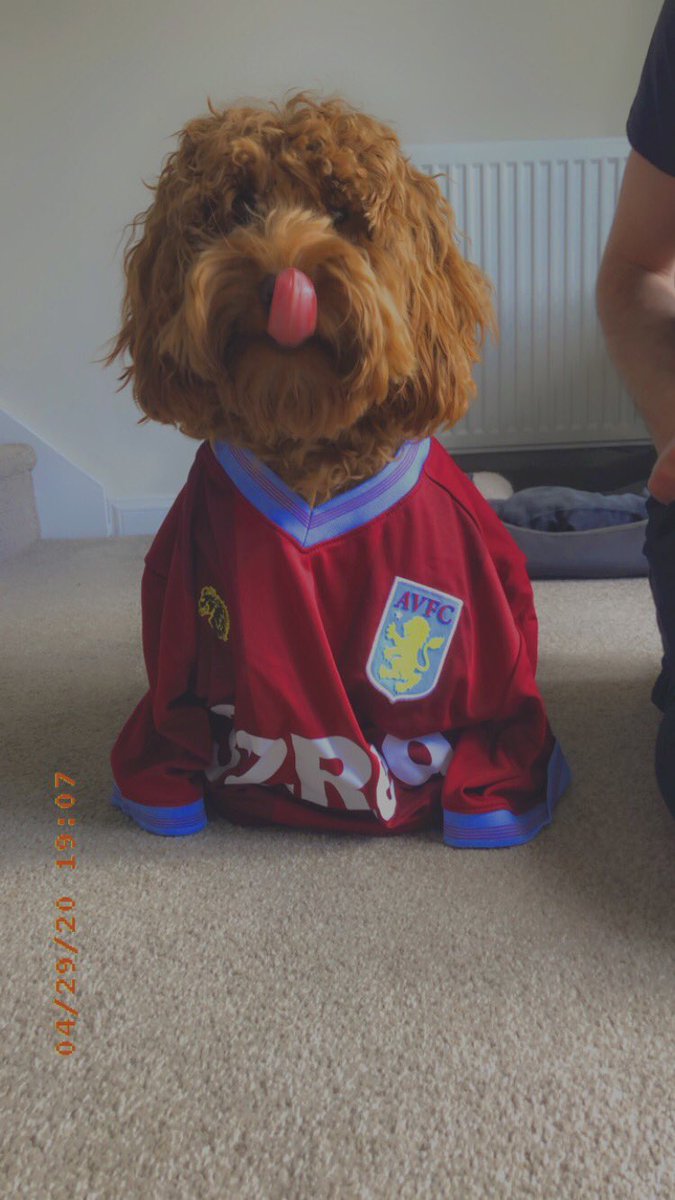 connormorgan8's tweet photo. Disney is Aston Villa’s number one fan 🐶⚽️#avfc @AVFCOfficial https://t.co/vVgQeG4Soi