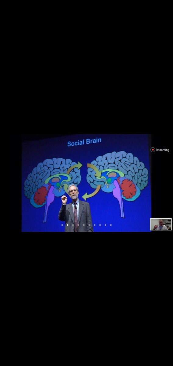 Another fantastic free webinar from @FAICoachEd @NiallORegan29 Discussing all things about - Self reflection - Emotional intelligence - Your 'Blind' spot Really impressed @jansenhr Story on vulnerability So honest and refreshing 👏 Thank you