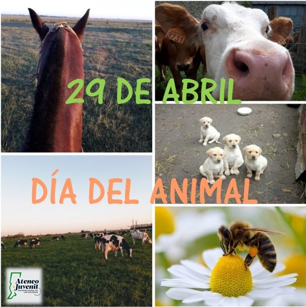 Día Nacional del animal. Cuidemos y respetemos a los animales, hagamos un mundo mejor para todos.