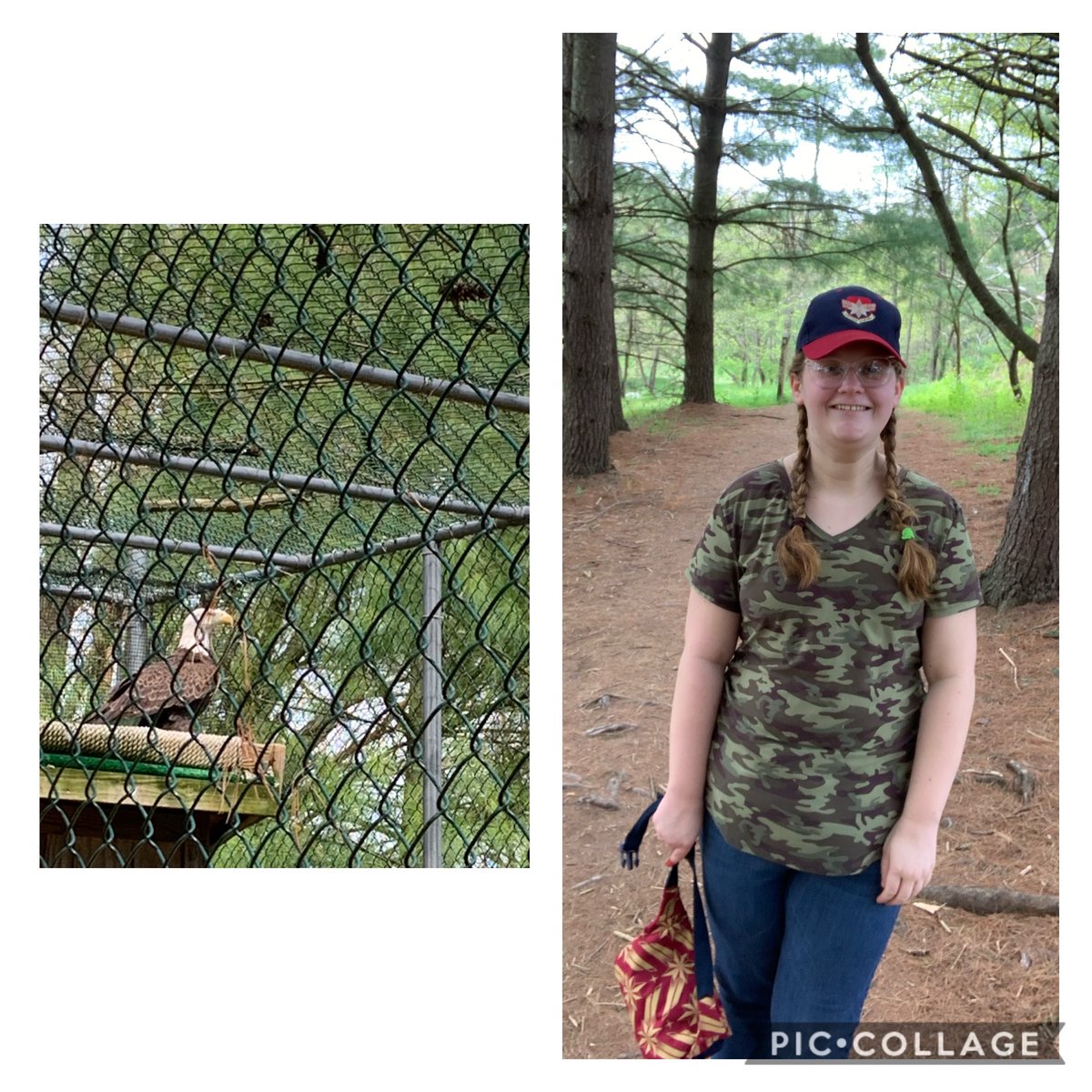 Saw the eagle on my hike today <a href="/CCPS_FSKEagles/">Francis Scott Key HS</a> <a href="/YearbookFsk/">fsk yearbook</a>