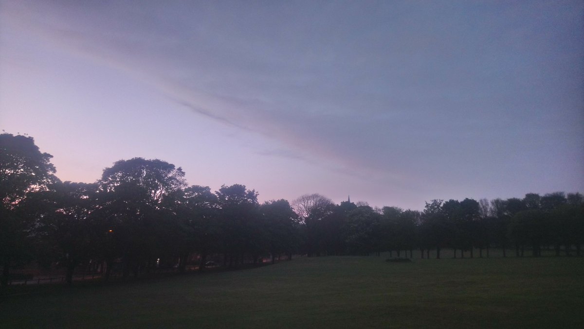 JohnPLeeds's tweet photo. Woodhouse Moor in the mist tonight @LeedsParks https://t.co/qZrCpc8Jl7