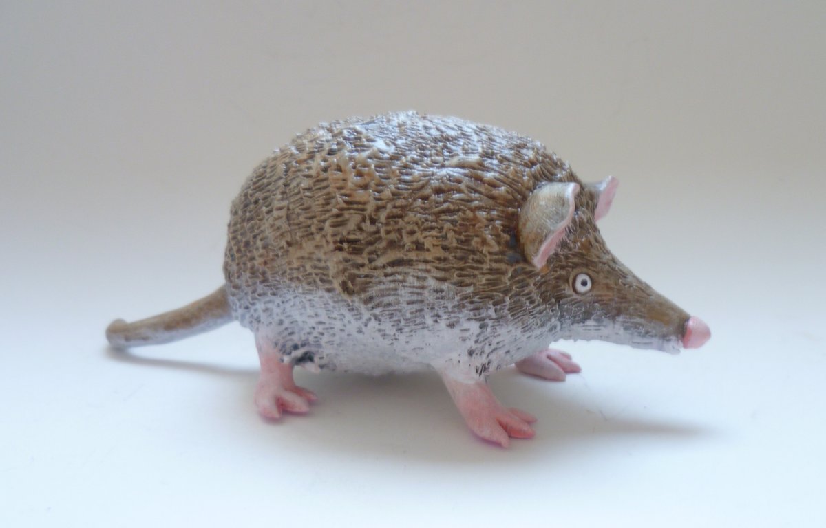 alanjamesartist's tweet photo. The #fatmouse is available to buy here . .
https://t.co/rDz4VSSKen https://t.co/MBJdMAdTCy