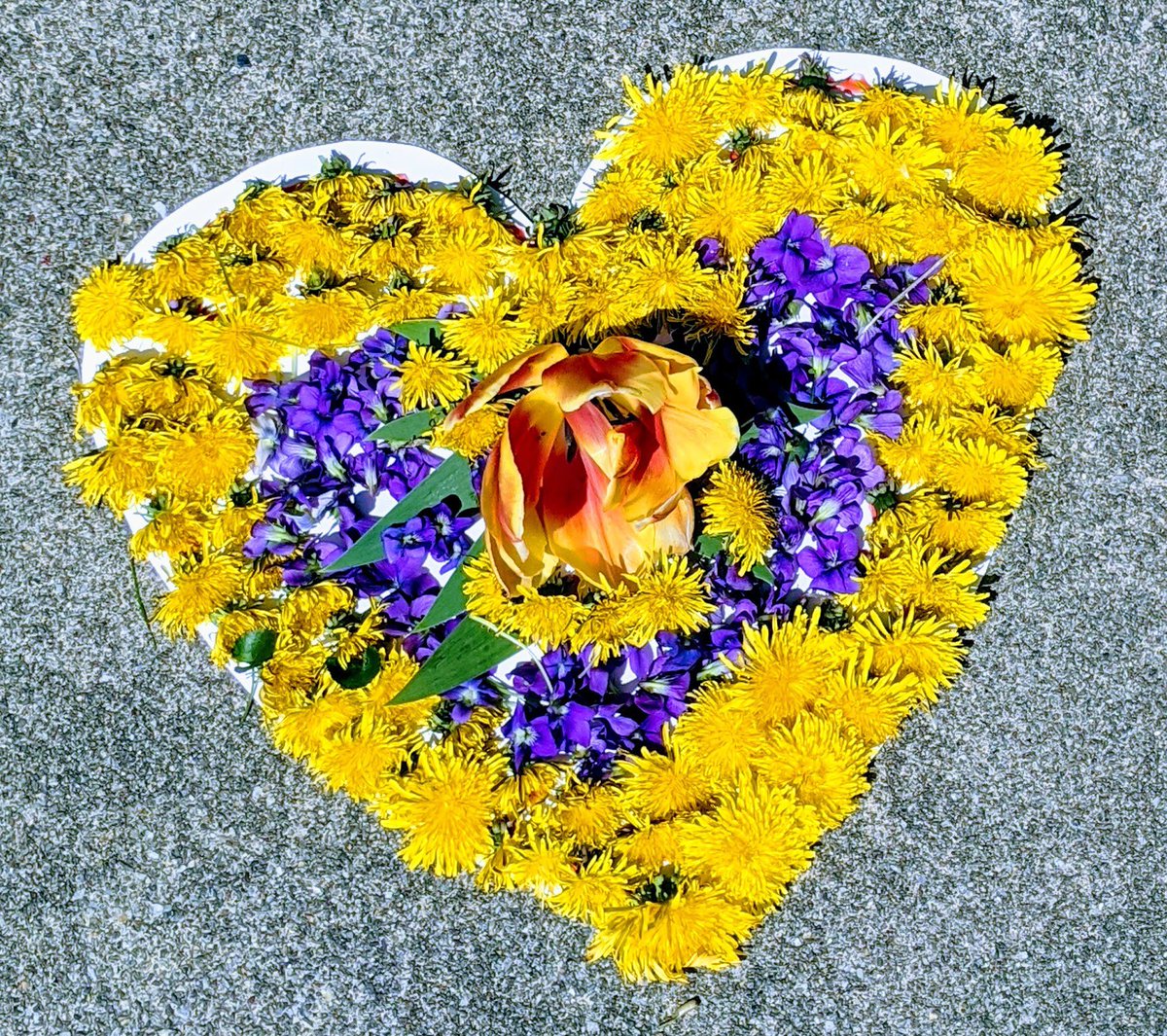 MsBlossBASDart's tweet photo. #heARTshineBASD! @BananaFactory @BethlehemAreaSD. Submissions to our gallery are already coming in. Way to shine BASD❤️ https://t.co/EGq3DlUMGg
