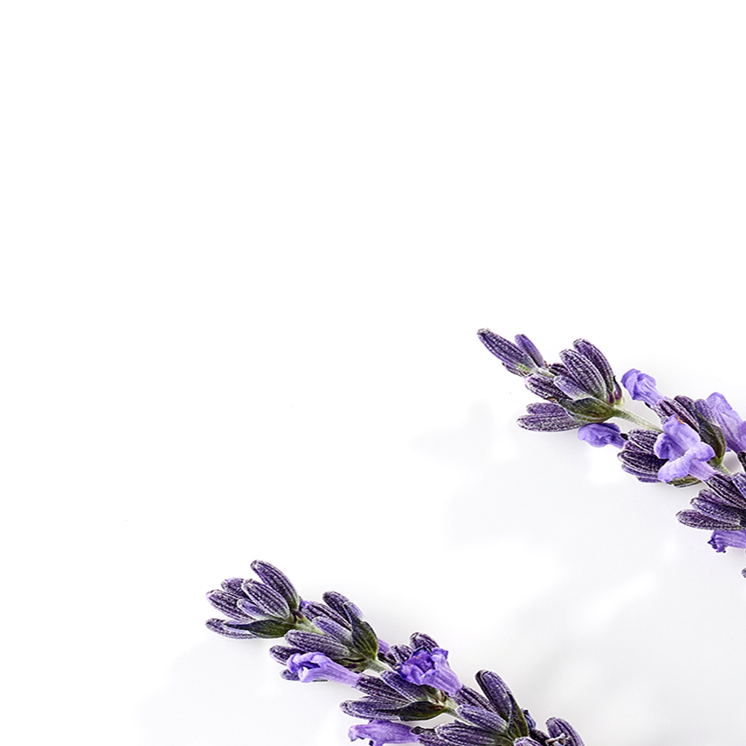 I'm taking a break from social, as we are traveling to take care of family.  But!  I hope to be back refreshed and renew in a new chapter.  I pray all of you are staying safe and well...and I can't wait to see you again soon.  #trekforjoy