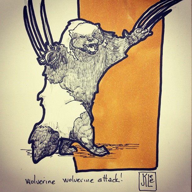 InkAndClaw's tweet photo. Wolverine attack, by @Janet_K_Lee #WolverineWednesday #GuloGulo #GuloLuscus #GuloGuloLuscus #Carcajou #Quickhatch https://t.co/fpn9H3Rdit https://t.co/kLDkLWviHw