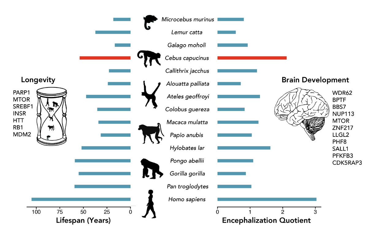 Amanda Melin (she/her) tweet media