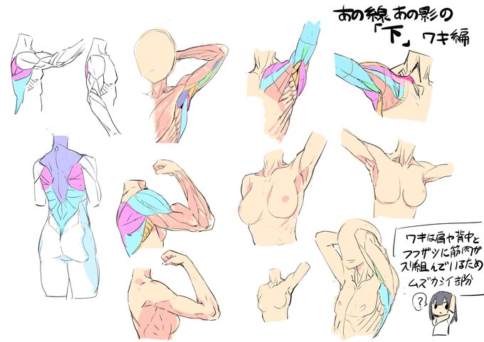 Popular Tweets Of 松本規之 廃版制服図鑑2 制作中 1 تحليلات تويتر الرسومية الخاصة بهوتويت Whotwi