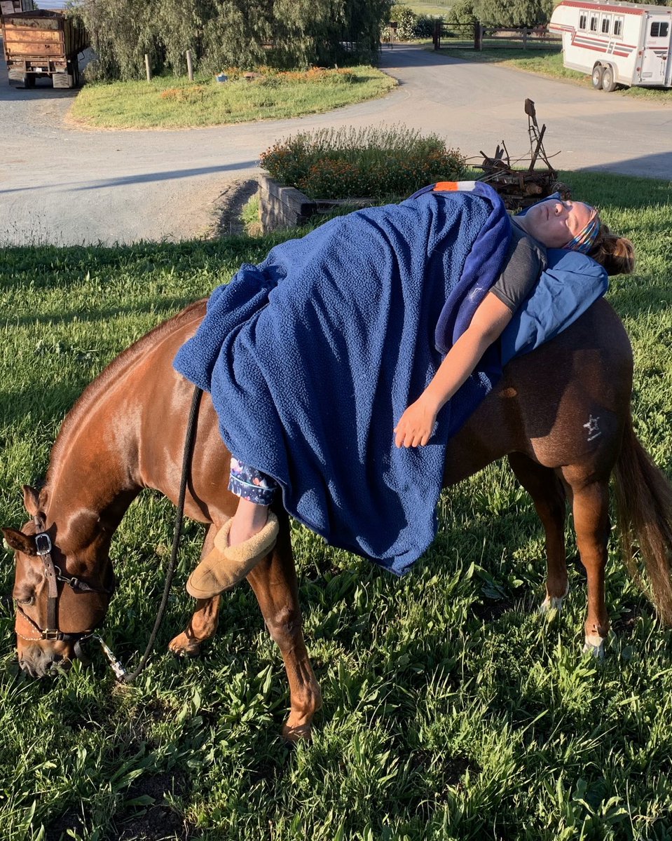 San Luis Obispo FFA tweet media