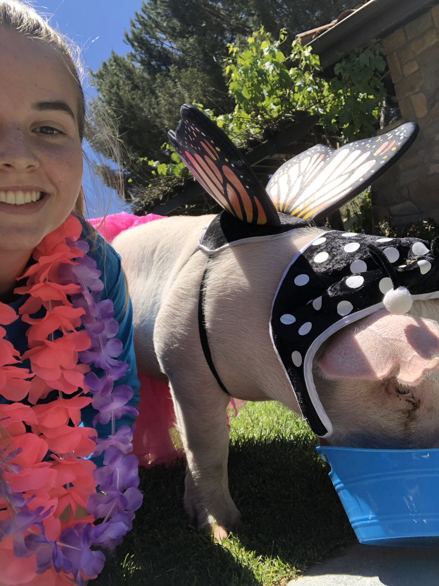 San Luis Obispo FFA tweet media