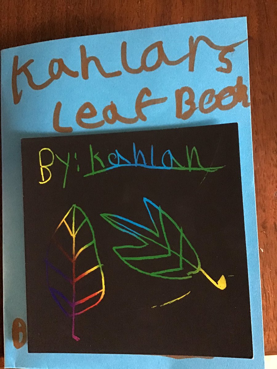 ThePicidPro's tweet photo. @LiveItearth #liveitcommunity Kahlan, Glendale, 3rd grade https://t.co/2kc87oL3UE