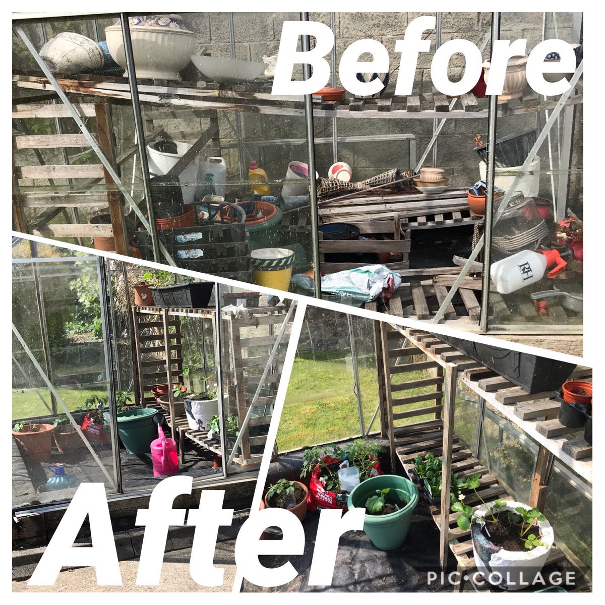 HomeEc_inLuskCC's tweet photo. My Wed was made all the better after receiving a 1st years entry in #makeovermay2020 @ATHE_HomeEc #HomeEconomics comp! Lucy Sandford -cleaned, painted and planted fruit and veg in her Grand-dad’s Greenhouse while he’s cocooning. What a lovely thing to do, well done Lucy @lusk_cc https://t.co/ugp5vjVRRk