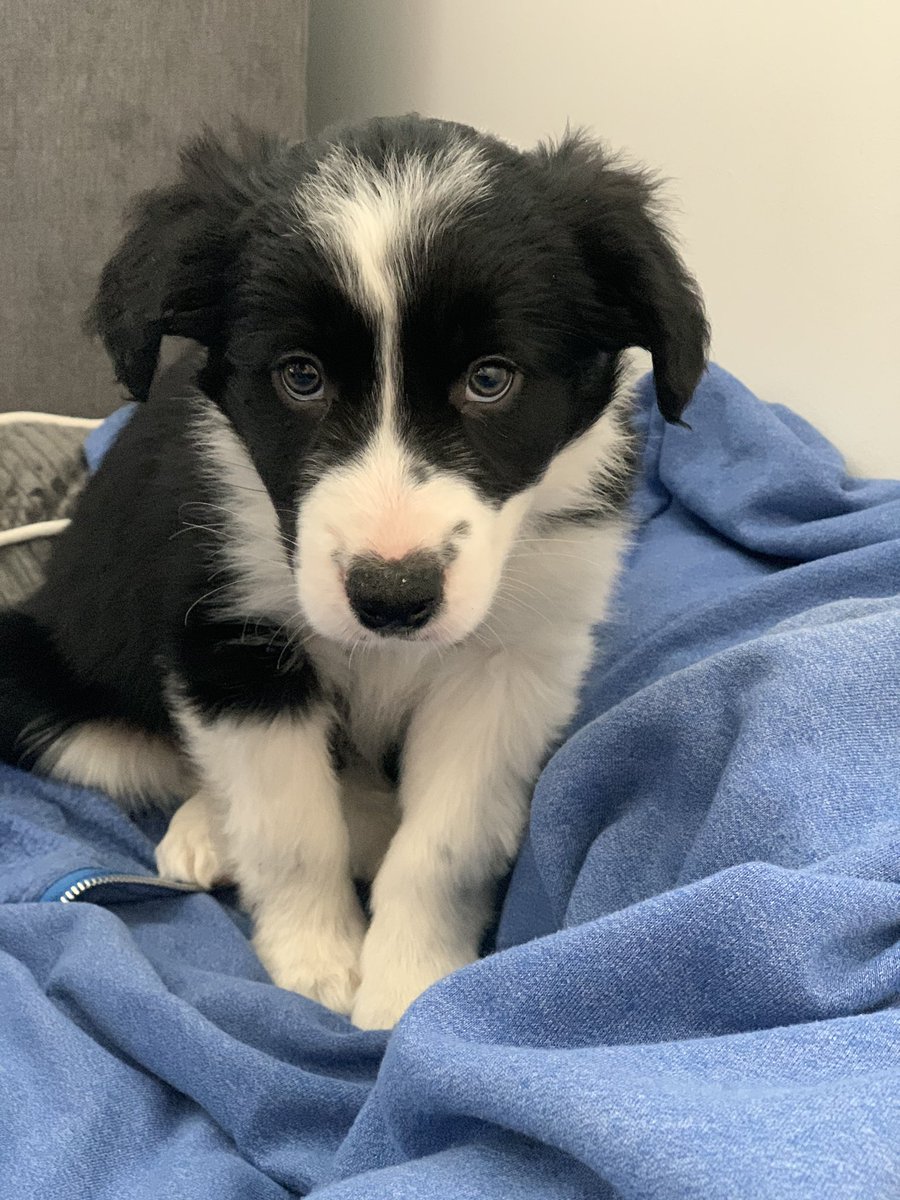 • Amyy 💙 • tweet media