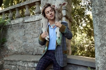 New great campaign. Harry Styles. Harry Styles Gucci campaign.