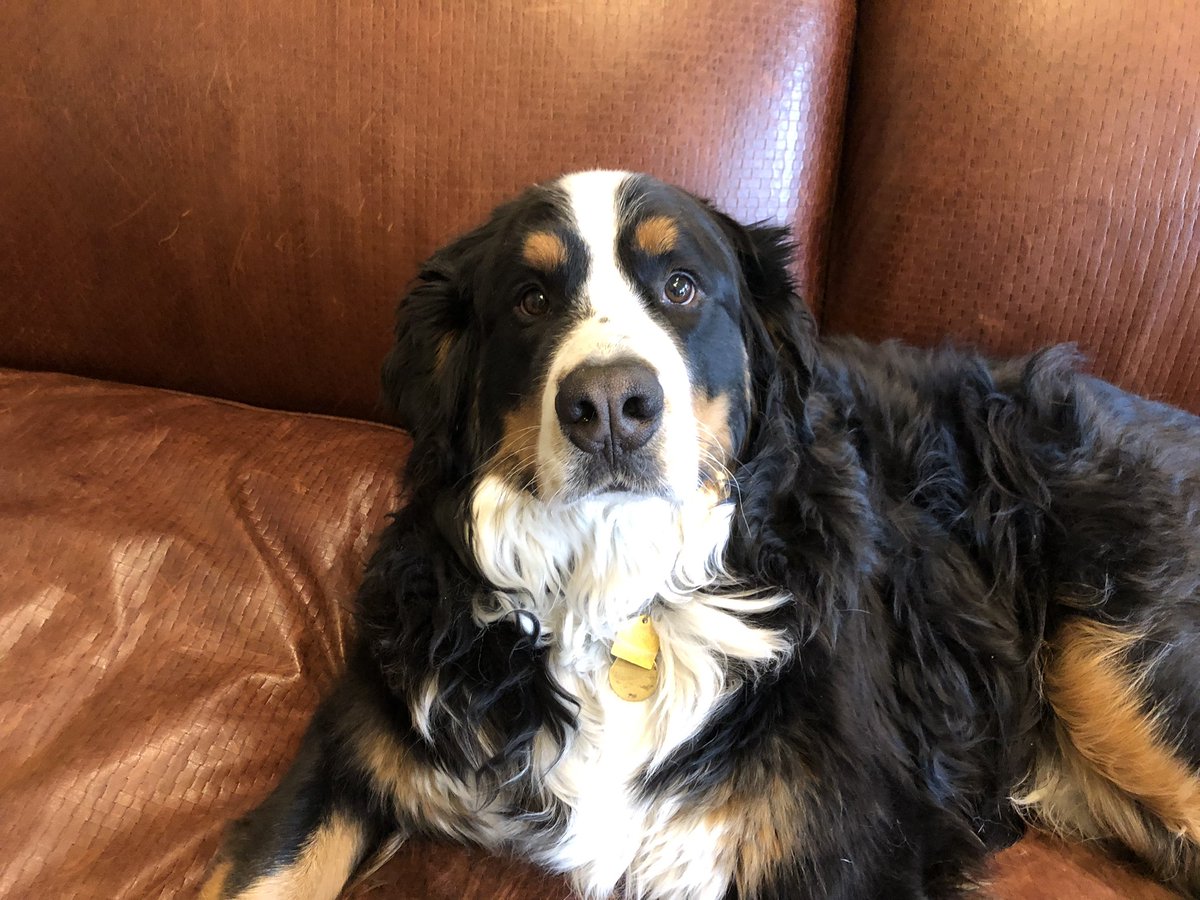 bubbie3131's tweet photo. @JointReconPAC Huberman our buddy.. https://t.co/Uu0KkP9G7I