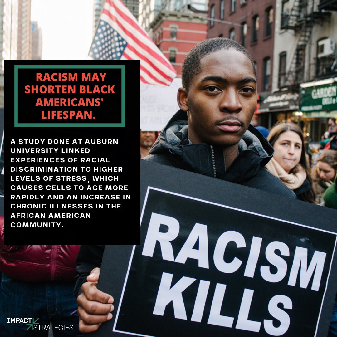 IMPACT Strategies tweet media