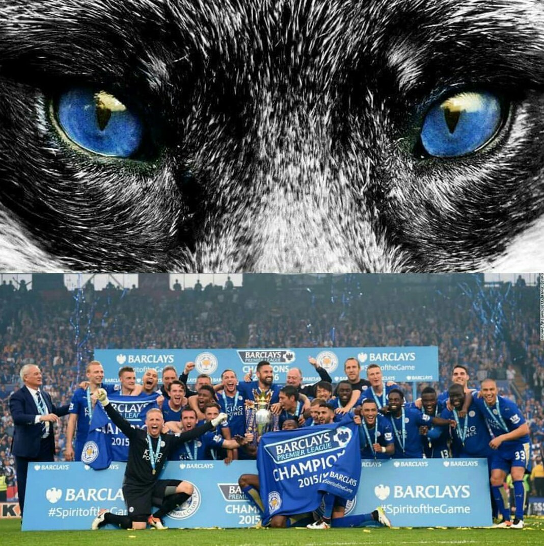 GRODSTER's tweet photo. Can you imagine just how amazing the atmosphere will be when we all finally get to visit our second home again? I'm really missing footy and all the boys today 💙 #LCFC #KPStadium #Foxes https://t.co/Fd9kNBP73J