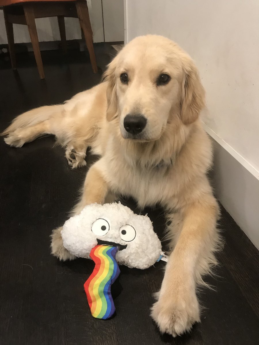 M D (one_smol_potato) Twitter