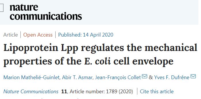 Nature Communications Lipoprotein Lpp Regulates The Mechanical Properties Of The E Coli Cell Envelope T Co Lhaibb94dl