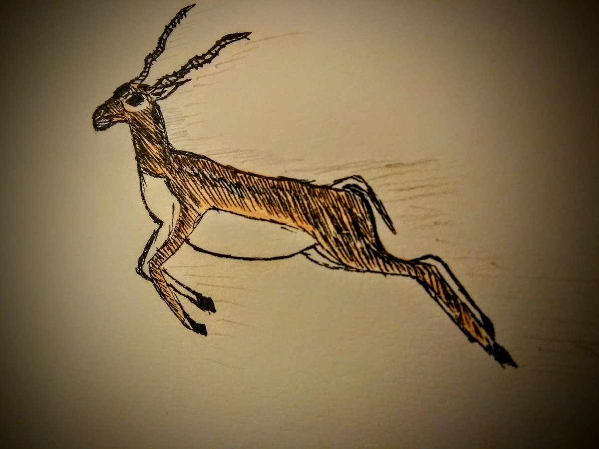hmnaik's tweet photo. What is hope? Making #scicomm #sciart doodles for a "possible" project while writing your thesis. At least I know how I will jump when I finally finish my thesis #titoc, Thesis in time of corona : week 4 #AcademicTwitter #AcademicChatter #phdlife https://t.co/xwKM39XCUe