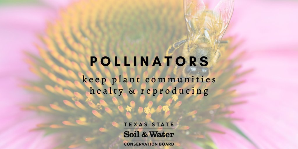 Texas A&M Natural Resources Institute tweet media