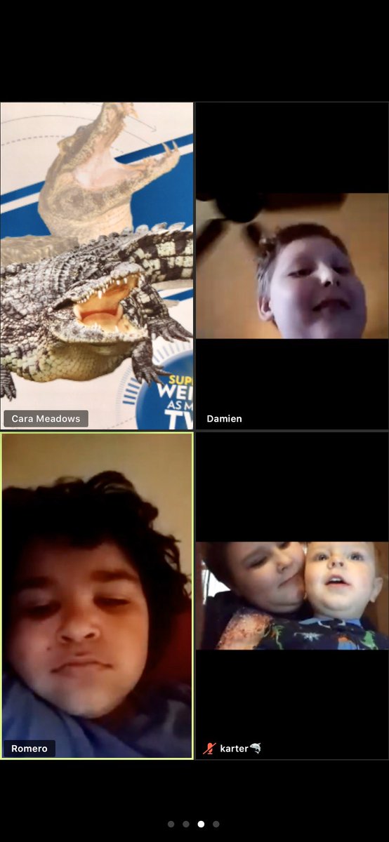 MissMeadowsWCS's tweet photo. #Willard214 Students Sharing working at home! Using Keep Kids Learning Grant, dinosaur fossils have be dug up, seeds have been planted, books are read &amp; discussed. Using Zoom #Willard214 is growing &amp; learning everyday.💛🖤 https://t.co/DAgXKeGcqo