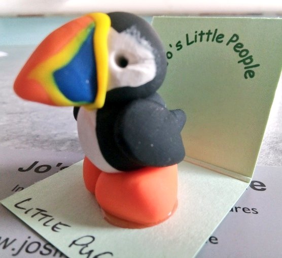s4r4h_l's tweet photo. @SteelySeabirder @Seabirders Come on puffin fans!!!! Let get this comical beauty through to the next round.... #VotePuffin ππ https://t.co/64ZlDMI6Ad