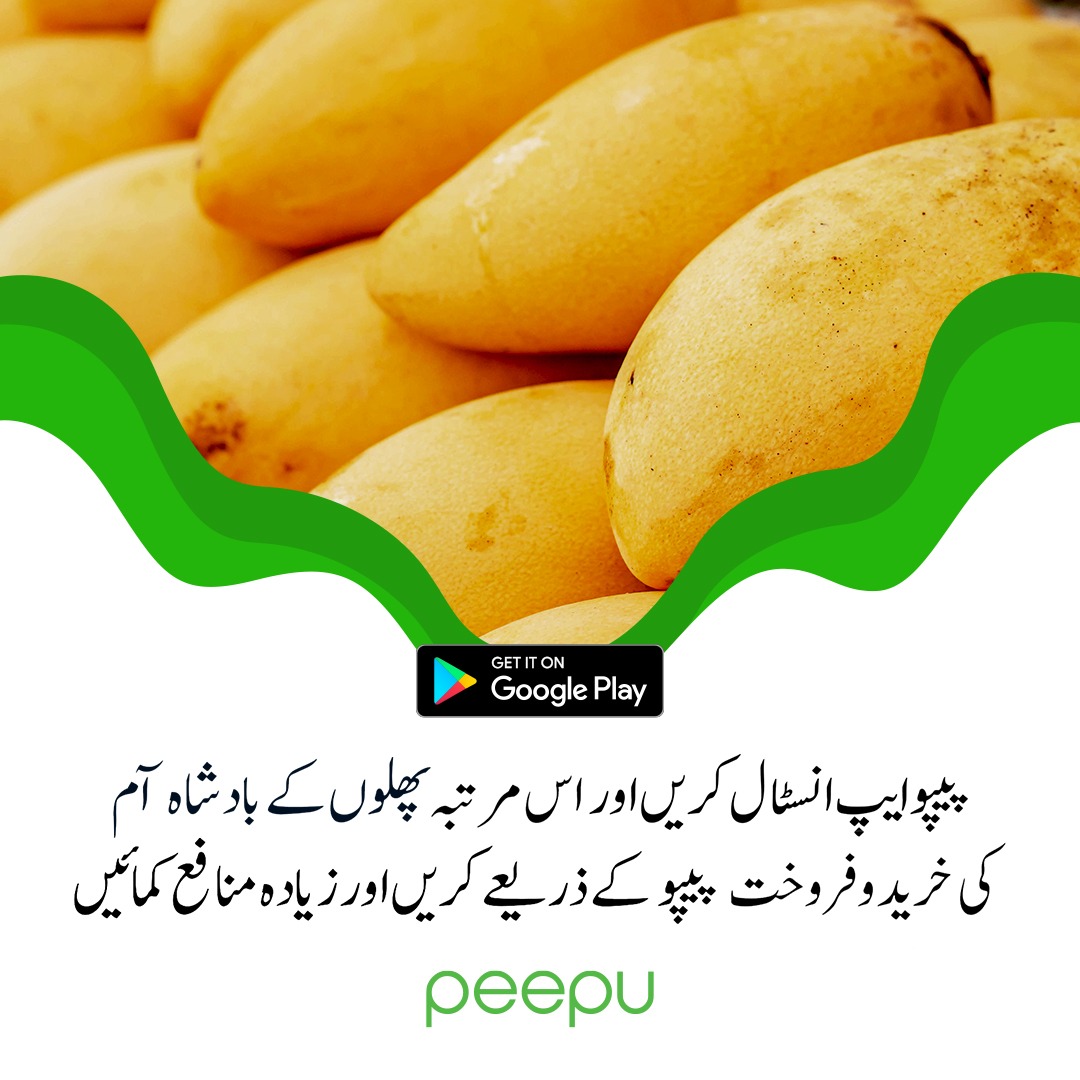پیپو
اگر آپ کسان ہیں، آڑھتی ہیں، آم اور دیگر اجناس کی خرید و فروخت کرتے ہیں
تو پیپو آپ کے لئے بہترین ایپ ثابت ہوسکتی ہے.
ابھی پیپو ایپ انسٹال کریں اور اس بار آم کی خرید و فروخت پیپو کے ذریعے کرکے زیادہ منافع کمائیں۔
#agriculture #farming
#agritech #agribusiness #farmers
#FarmLife