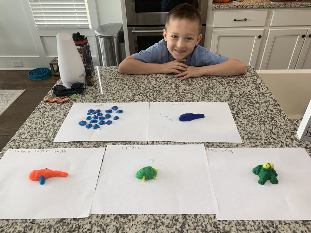 djbuff1's tweet photo. We’ve been working on a little science too! @CMCSIWarriors @Hall_Schools @HCdigitalteam https://t.co/UHKcOwL4nk
