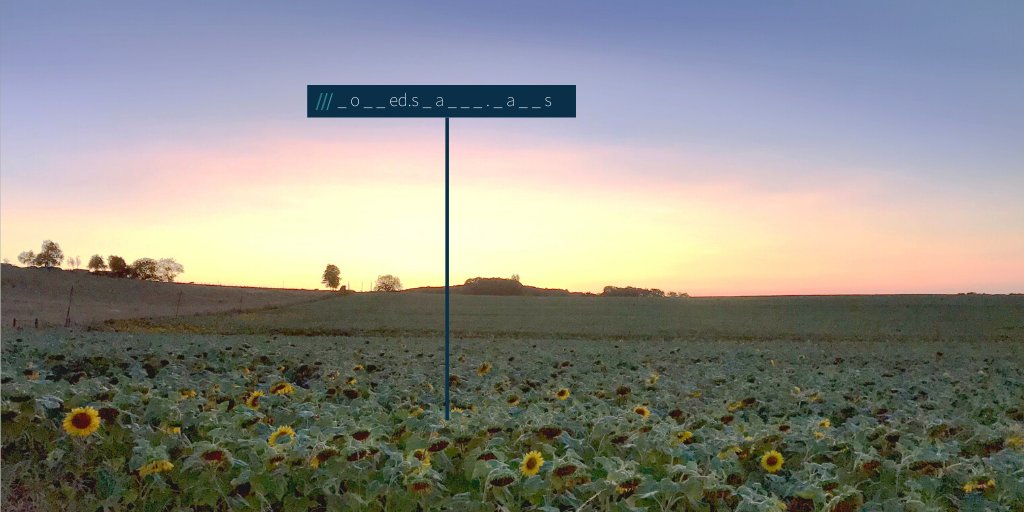 Sunflower field at sunset. what3words address with letters blanked out reads ///_ o _ _ed.s _ a _ _ _ . _ a _ _ s