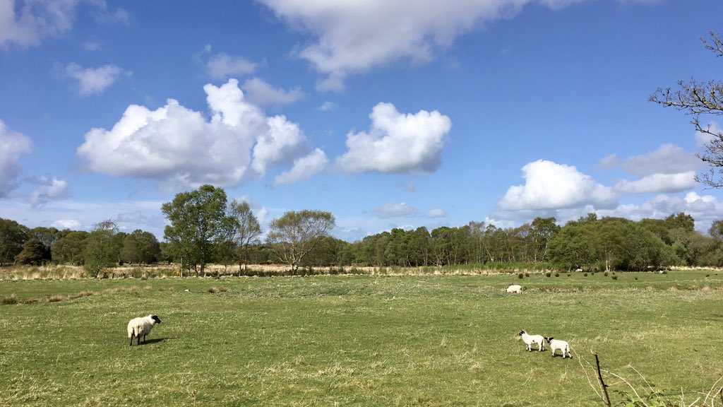 andrewflaus's tweet photo. Rewarded myself with a walk after 6 video meetings concerning @nuigalway internationalisation across 3 continents since 8.45am. The world still seems to be well connected to our #2kmradius https://t.co/Dfmkm8SGrh