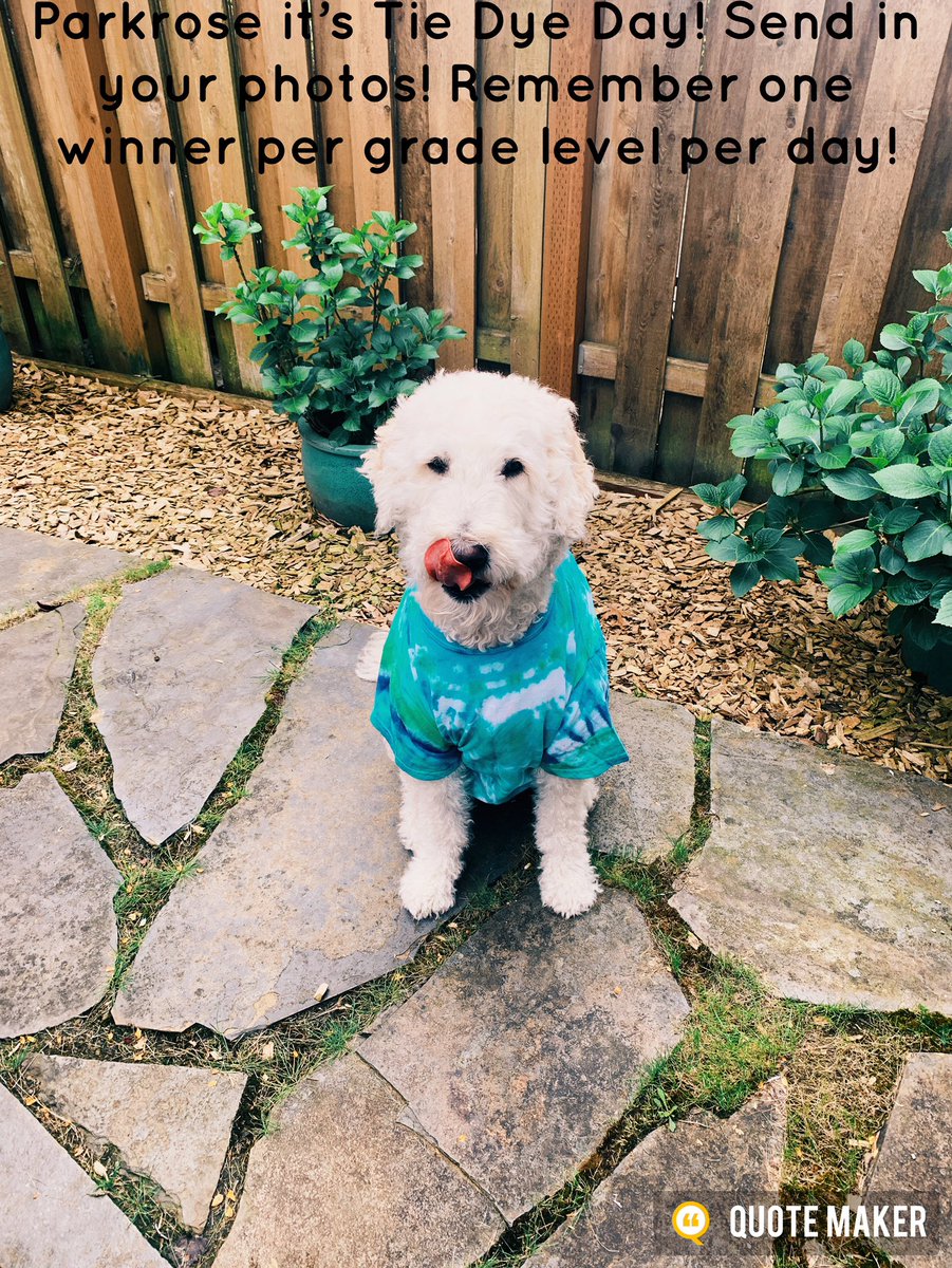 MsOLearyprms's tweet photo. It’s Tie Dye Day! Send me your photos! Remember one winner per day per grade level! #parkrosestrong https://t.co/pPQMiiOwEr