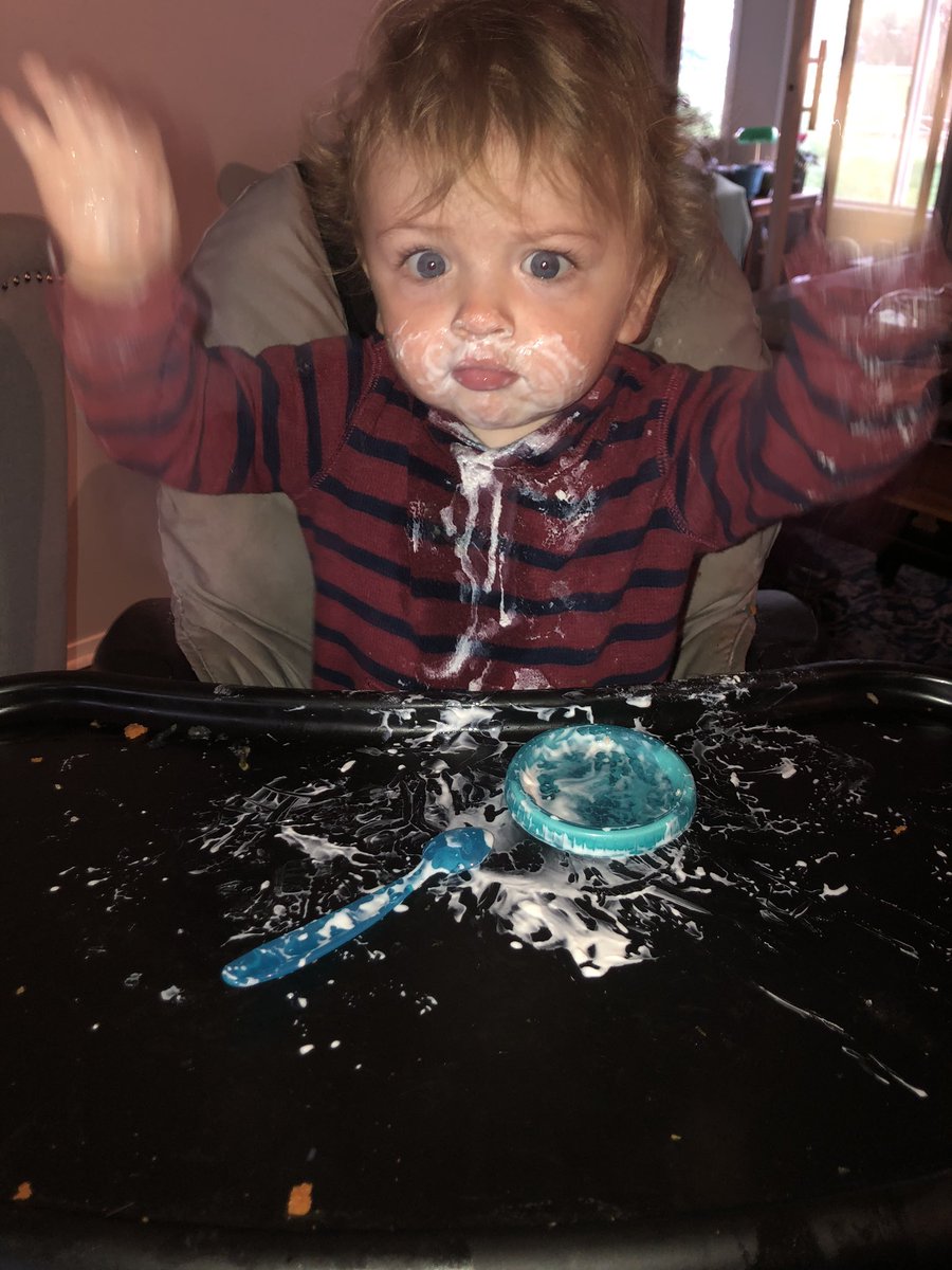 MrsChaseEnglish's tweet photo. Also - if you need a good chuckle. William really loves yogurt. William really hates flash cameras. #williamwednesday https://t.co/RvkKroVjTp