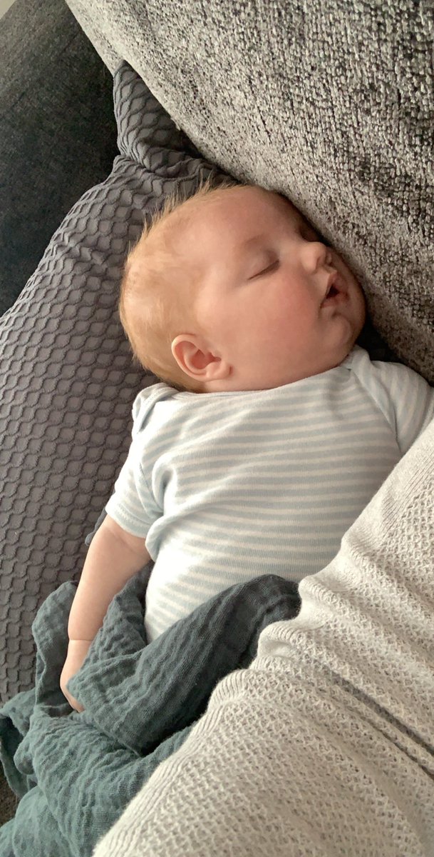 jaylierasmussen's tweet photo. you’ve been begging me for an update so here it is: i got another nephew and enjoy drinking red bull https://t.co/ryYLEccKGO