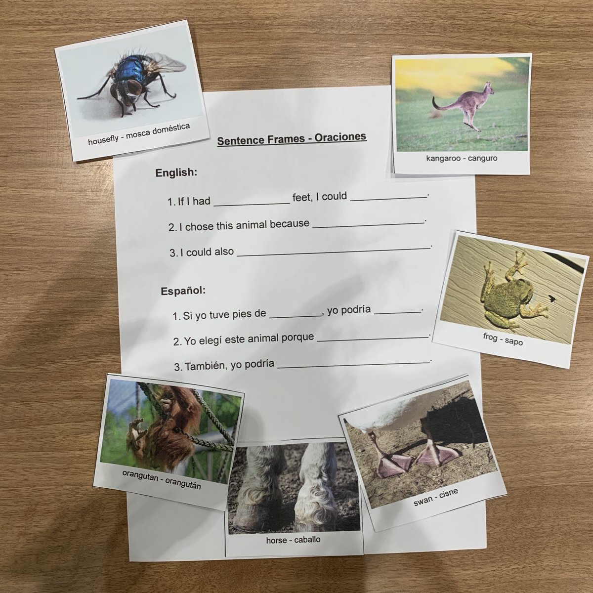 What if you had animal feet? Here are some ideas to get you thinking. Did you come up with any creative sentences or drawings? #HomeWithAPS <a href="/ABQschools/">Albuquerque Public Schools</a> <a href="/NMPBS/">New Mexico PBS</a>