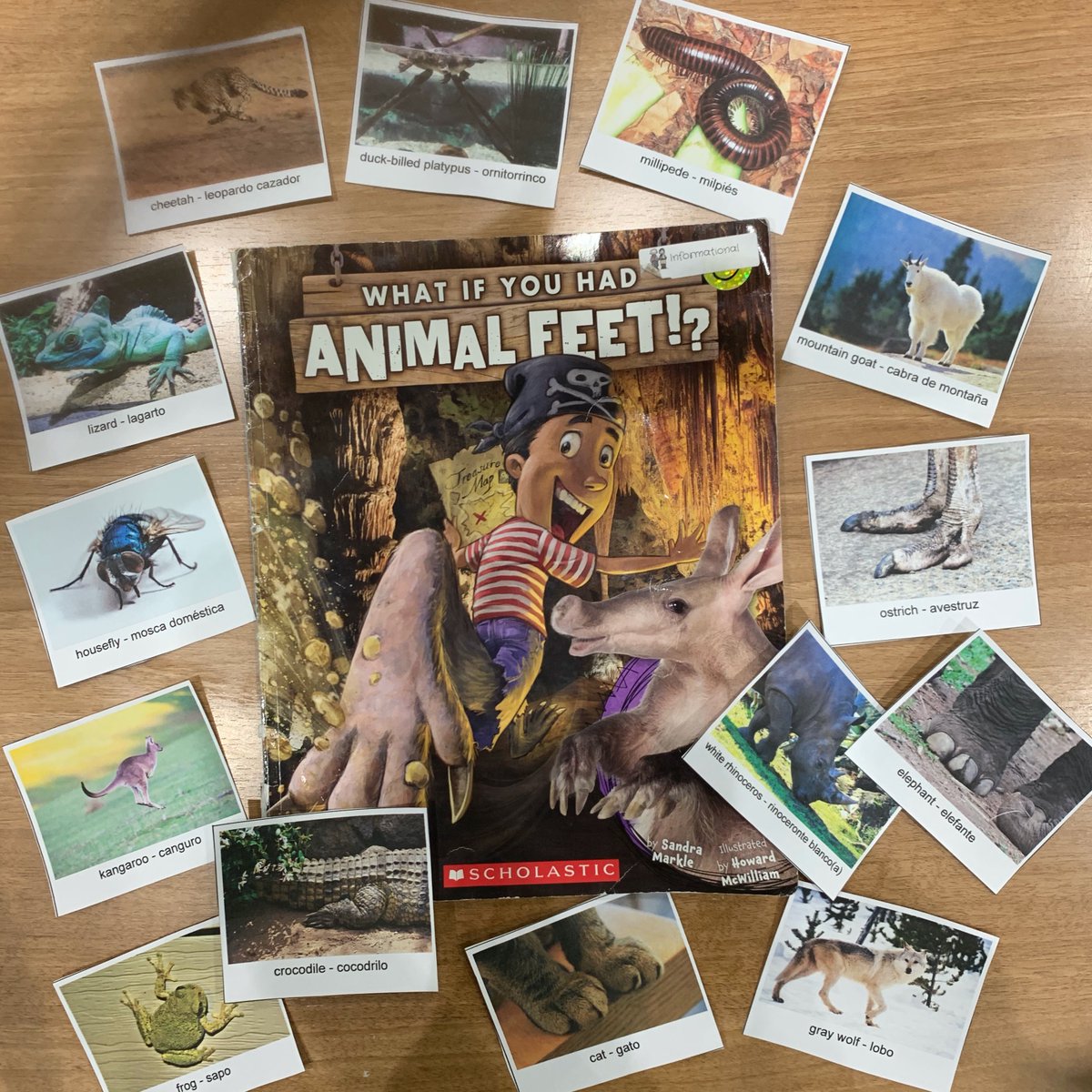 APS HOME tweet media