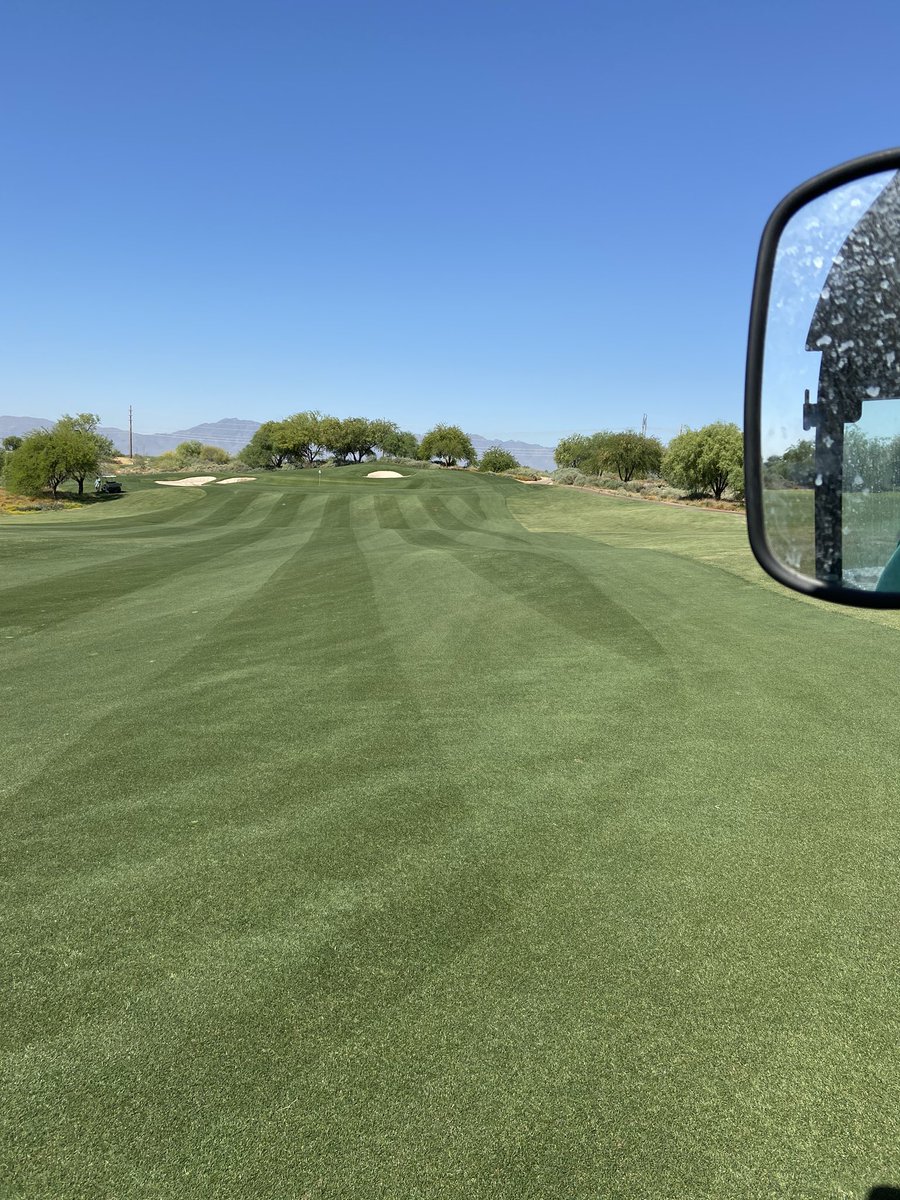 Last ryegrass stripes of the season.  Already hit with Sapphire to slow it down 3 weeks ago.  It’s in a losing battle with Bermuda. Manuscript prescription filled.  #byebyerye #byebyestripeshow @RPMTurf