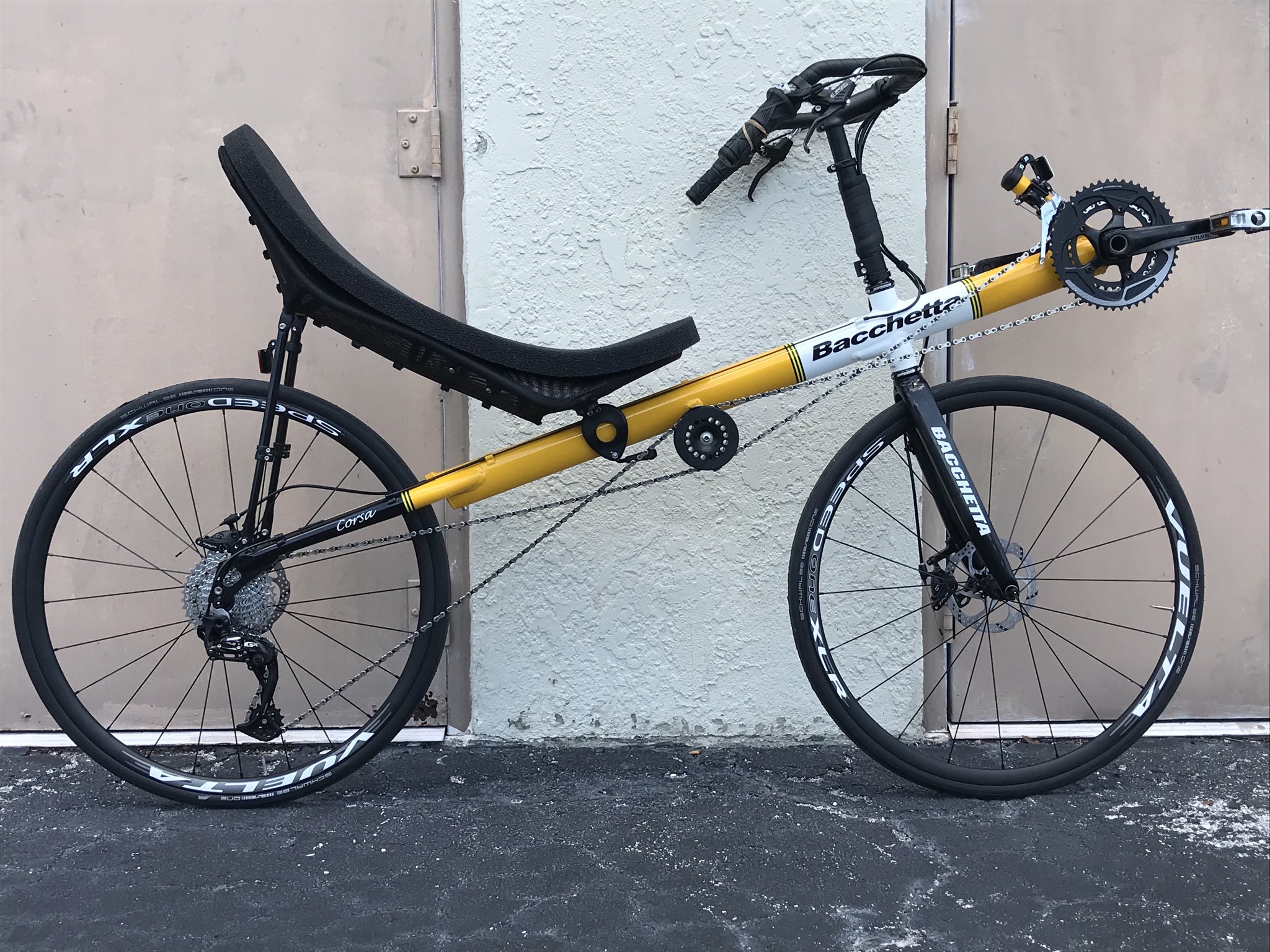 Bacchetta recumbent 2024