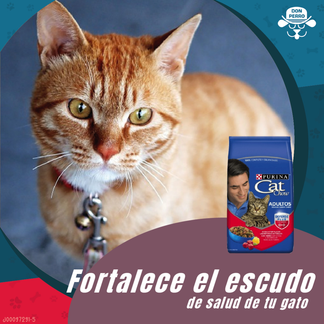 Consigue los productos Cat Chow® en 
<a href="/tiendasdonperro/">Don Perro</a>