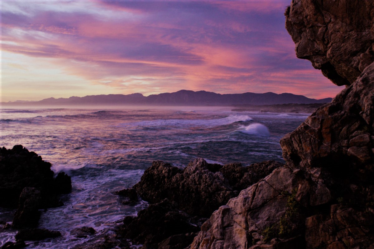 cari_kat's tweet photo. A1: Gansbaai is my absolute favourite, from marine adventures to exploring caves or getting lost in a magical milkwood forest. A nature enthusiast's dream!
#TravelChatSA #VirtualTravelSA #VirtualTravelOverberg @HangklipT #GansbaaiinColour #MarineBig5 https://t.co/ufpSdDsacR