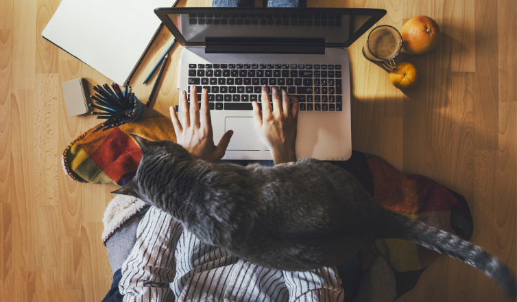 CoCreate tweet media