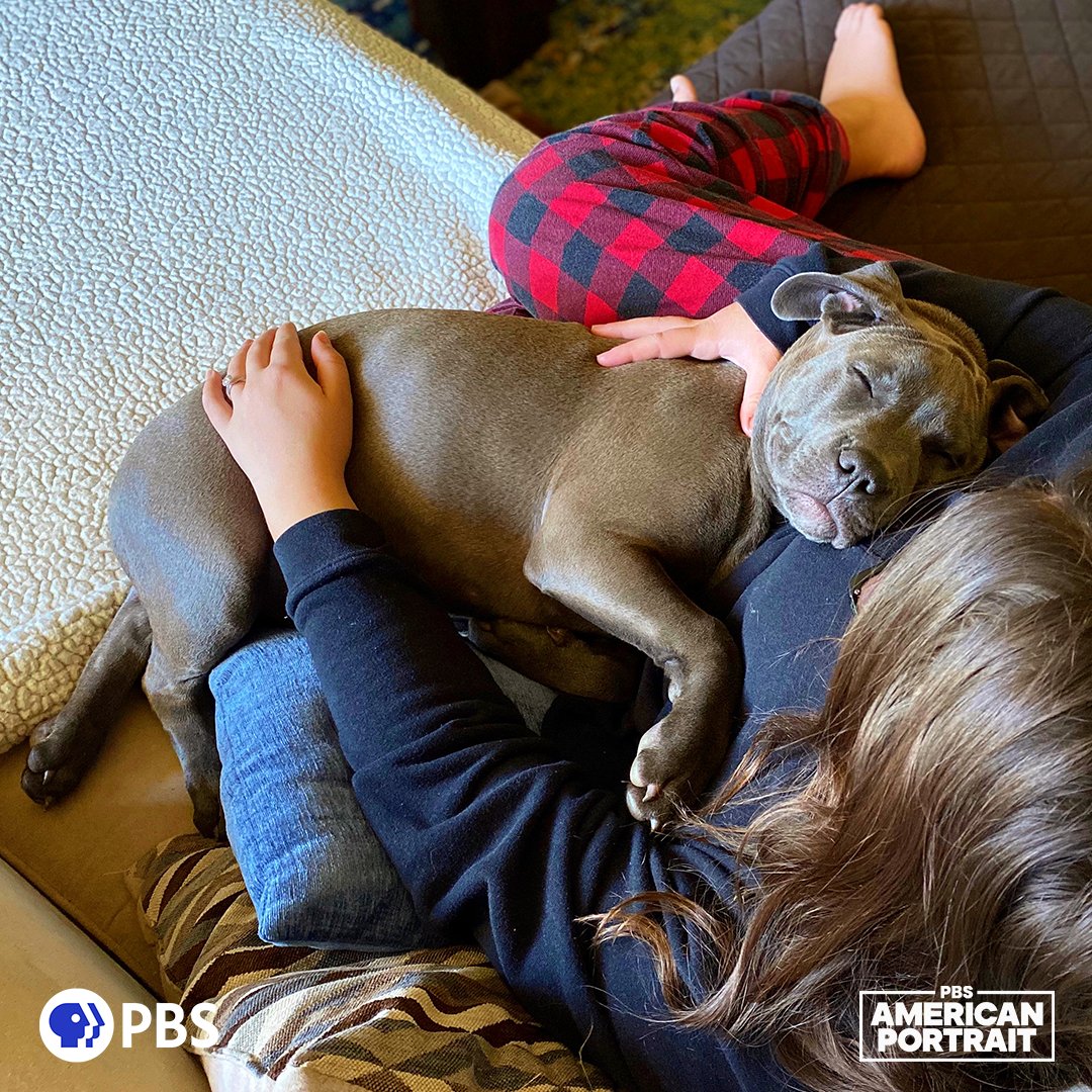 PBS tweet media