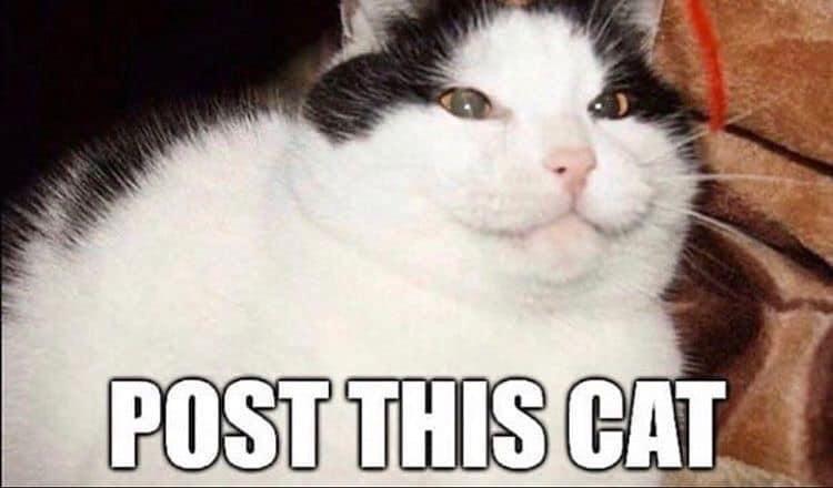 ок