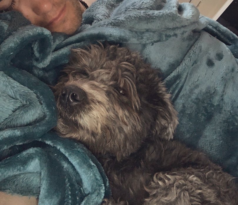 delaneykrug's tweet photo. @laurennotconrad 10/10 recommend waking up with a puppy💗 https://t.co/SOgM0b7j4T